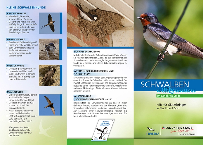 Flyer Schwalbenaktion Flyer Schwalbenaktion